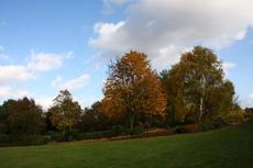 Herbststimmung-25-10-09 008.jpg